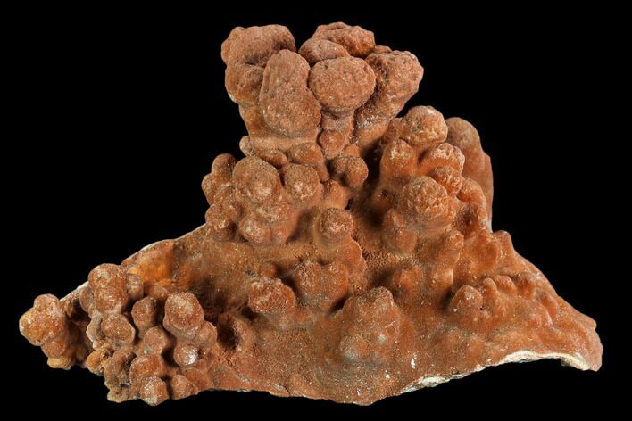 Botryoidal, Red-Orange Aragonite - Chihuahua, Mexico #127084